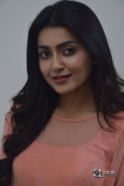 Avantika-Mishra-At-Vaishakham-Movie-Success-meet